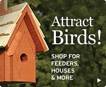Shop NWF's online catalog for bird houses, bird feeders, and more